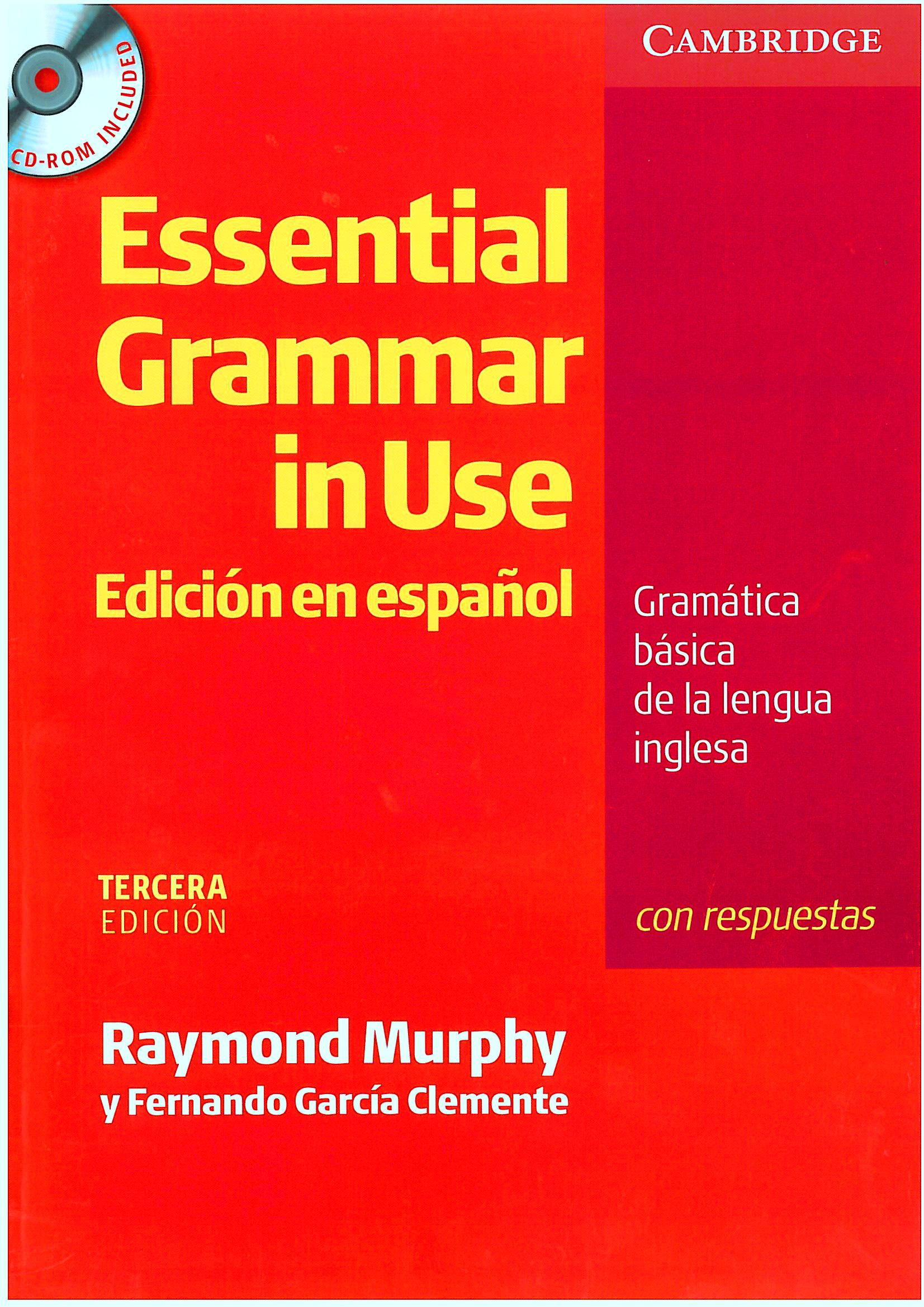 grammar in use pdf